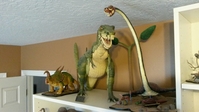 steveshelf4.jpg