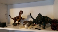 steveshelf6.jpg