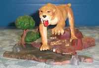 stiger1.JPG