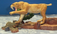 stiger3.JPG
