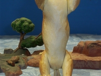stiger6.JPG