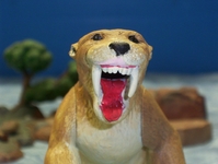 stiger8.JPG
