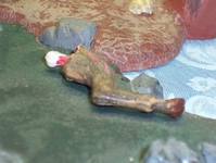 stiger9.JPG