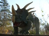 straightarrowspike03.jpg