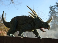 straightarrowspike04.jpg
