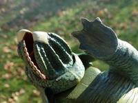 straightarrowspike05.jpg
