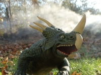 straightarrowspike08.jpg