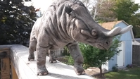 20151003_163232.jpg