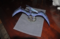 Pteranodon_005.jpg