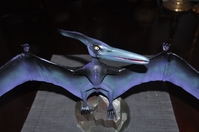 Pteranodon_006.jpg