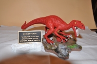 Raptor_003.jpg
