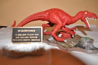 Raptor_005.jpg