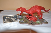 Raptor_006.jpg