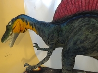 Spinosaurus_004.jpg