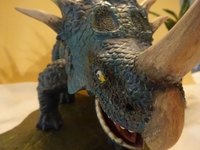 Styracosaurus_14.jpg