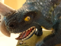 Styracosaurus_15.jpg