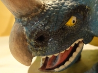Styracosaurus_16.jpg