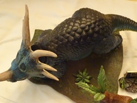 Styracosaurus_7.jpg