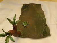 Styracosaurus_9.jpg