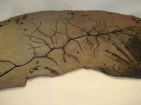 Trachodon_039.jpg
