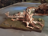 May_042C_2021_Tues_Stegosaurus_Skeleton_03.JPG