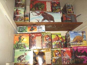 collection