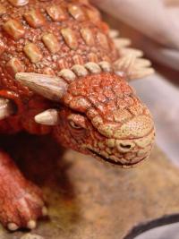 armored dinosaur