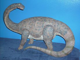 Three horned dinoe - triceratops
