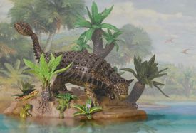 Armored Dino