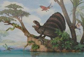 sailback reptile
