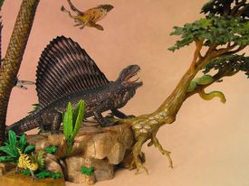 sailback reptile