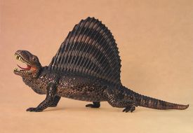 sailback reptile