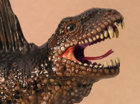 sailback reptile