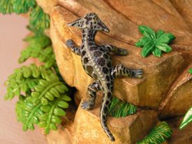 sailback reptile