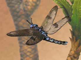 sailback reptile
