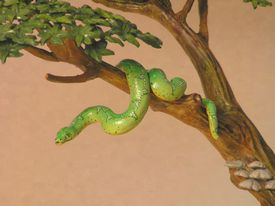 sailback reptile