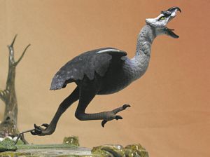 giant bird