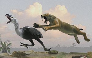 giant bird