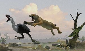 giant bird