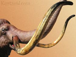 Woolly Mammoth