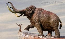 Woolly Mammoth