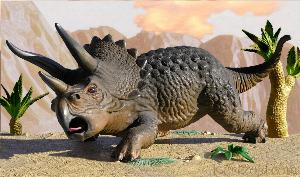 triceratops