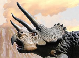 triceratops