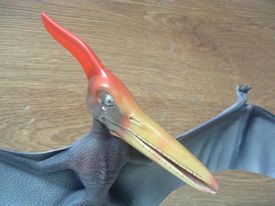flying reptile