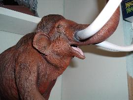 mammoth