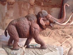 mammoth
