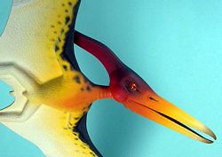 flying reptile