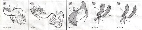 aurora prehistoric scenes instruciton sheet