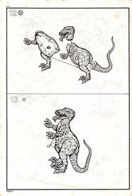 instruction sheet