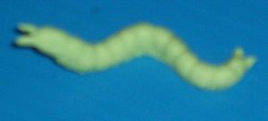 Aurora prehistoric scenes resin model add on